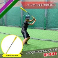 フィールドフォース FIELDFORCE 野球 バッティング練習 素振り